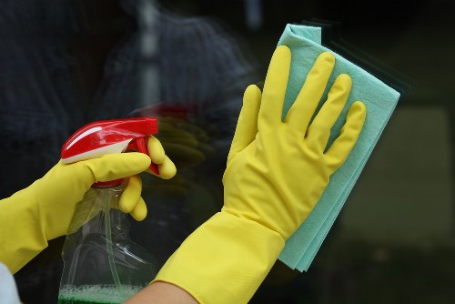 Deep cleaning carpet fibres for pet stain odour removal in New Eltham