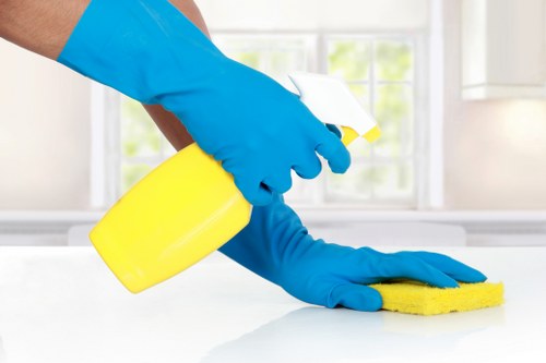 Professional upholstery cleaning in a New Eltham living room