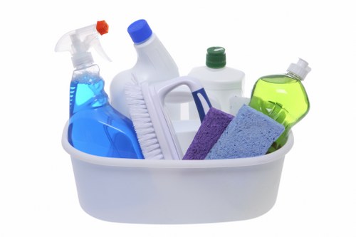 Carpet cleaning specialists in New Eltham assessing carpet condition