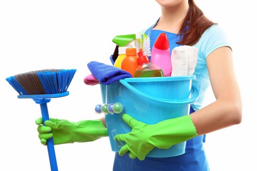 Removing stubborn pet odour from upholstery in New Eltham
