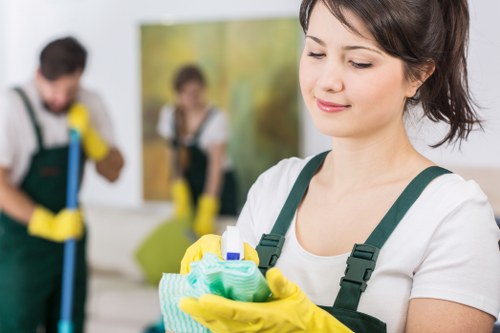 Screen-reader friendly carpet cleaning information for New Eltham