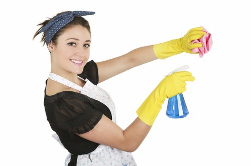 Professional carpet cleaning results in a New Eltham home