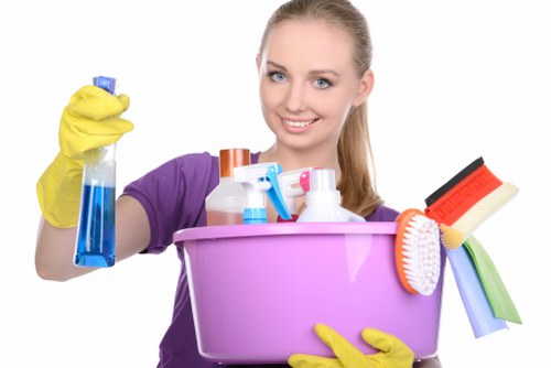 Mattress and fabric deodorising for pet stain odour removal in New Eltham
