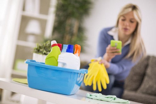 Accessibility request support for New Eltham carpet cleaners