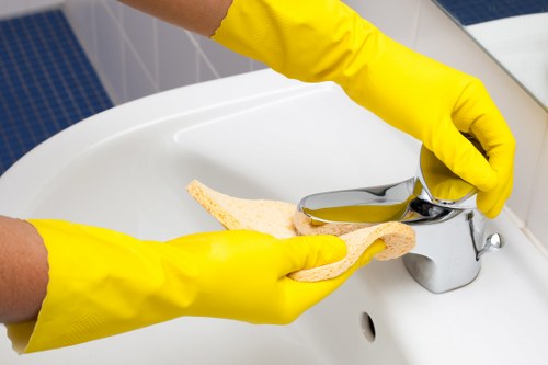 New Eltham Carpet Cleaners maintaining safe and insured cleaning standards
